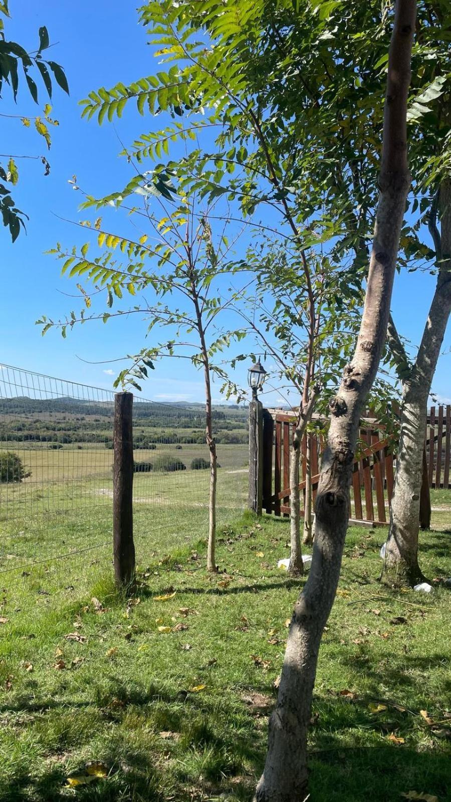 La Chacra Guest House Минас Екстериор снимка